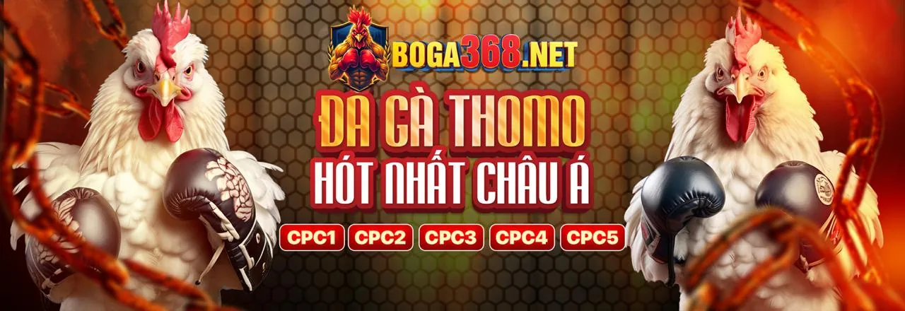 Nhập thông tin đăng nhập